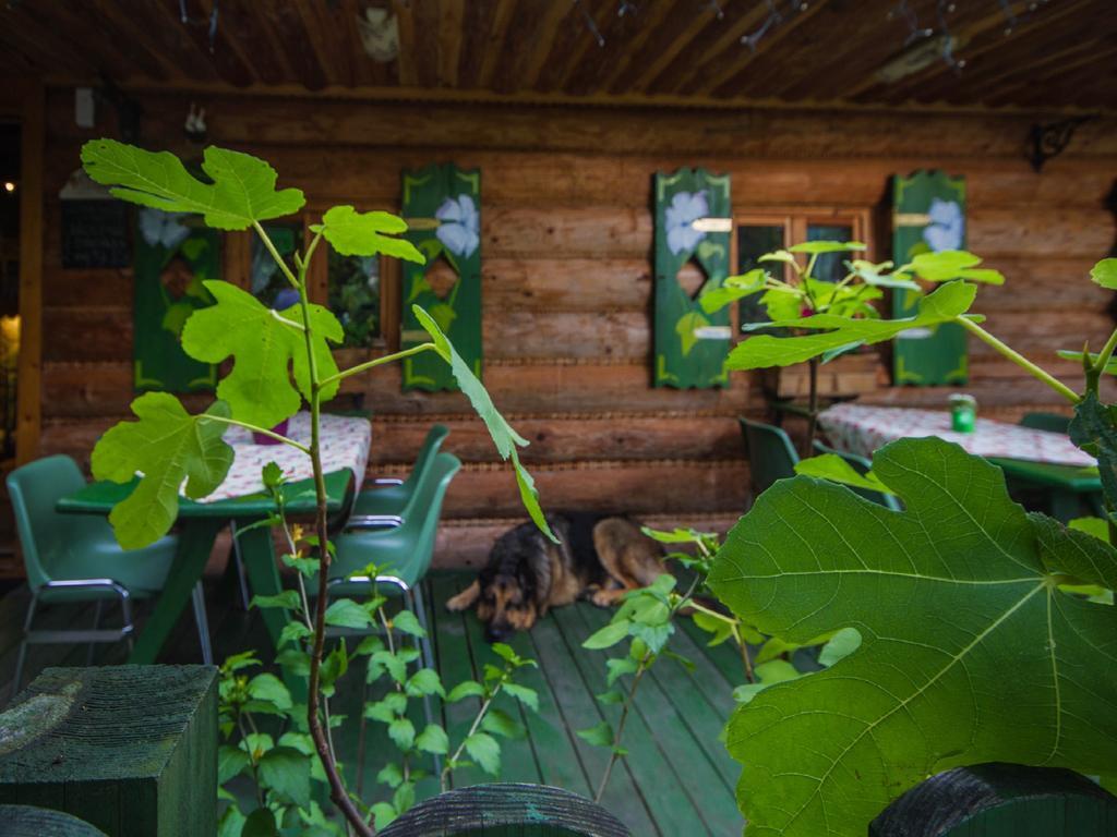 Bed and Breakfast Willa Jagniatkow Екстер'єр фото